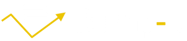 BumpIt Logo